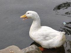 -水磨沟公园