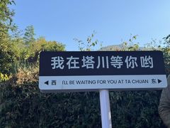 -塔川景区