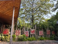 -大湾区中央湿地公园