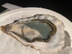 -Oyster Talks 四度蚝法餐厅