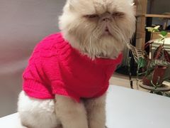 -小时光咖啡馆(开森度假森林店)