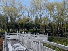 -莲湖公园