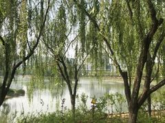 -大兴滨河森林公园