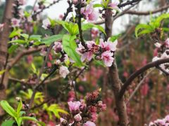 -白水带风景区体育公园