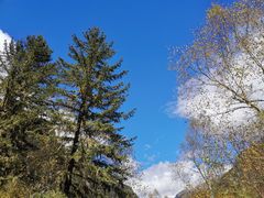 -叠溪松坪沟景区