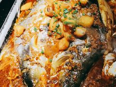 湄公鱼-焰鱼(昌建广场店)