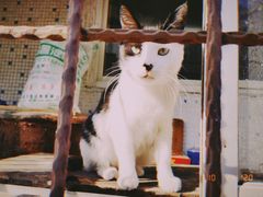 -三点小吃(山大店)