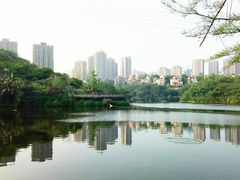-重庆彩云湖湿地公园
