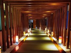 -重庆南山海昌汤都