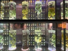 -广东中医药博物馆
