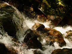 -藏龙百瀑风景区