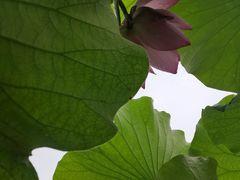 -嘉北郊野公园