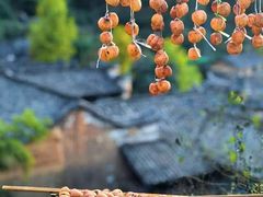 -杨家堂村