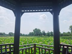 -羊亭河湿地公园