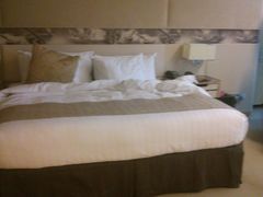 DSC_0153-苏州金鸡湖中茵皇冠假日酒店