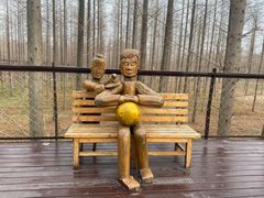 -黄海国家森林公园