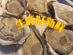 -千岛蚝高压锅生蚝·人参火锅(白云万达店)