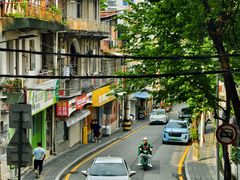 -溪岸路花鸟市场