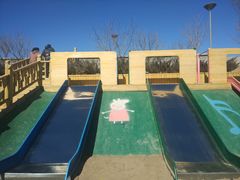 -大兴滨河森林公园