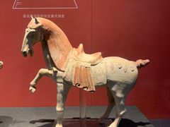 -陕西历史博物馆