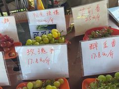 -马陆小张葡萄园农家乐