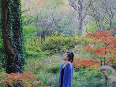 -宝界山林公园