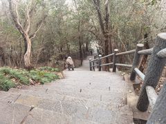 -紫金山山顶公园