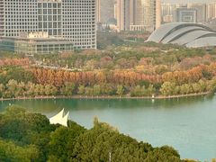-天鹅湖体育公园