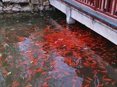 -河北省园博园