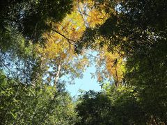 -三江森林温泉度假区