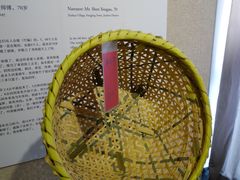 草莓篮（金山区枫泾镇新华村）-徐汇艺术馆