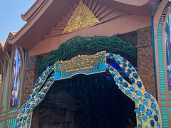 -西双版纳原始森林公园