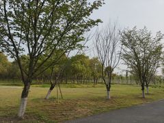 -嘉北郊野公园