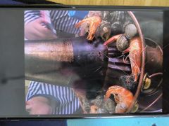 -一口猪海鲜浑锅·东北家常菜