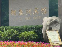 -鲤鱼洲酒店港鲤咖啡厅