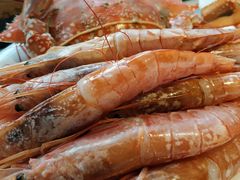 -星伦多 自助料理(圆融店)