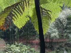 -四洞沟景区