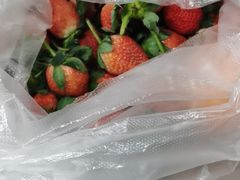 -城南综合水果批发市场(花园路店)