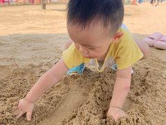 -碧海金沙