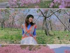-天适樱花悠乐园