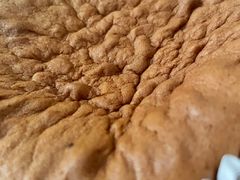 -多乐之日(华贸天地店)