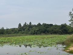 -白鹭湾湿地公园