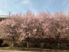 -西安咸阳国际机场-T1航站楼