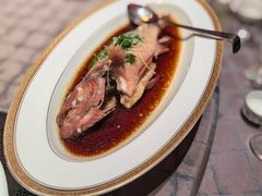 -新光酒家·河豚·海鲜·蟹料理(浦东店)