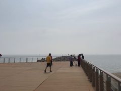 -东疆建设开发纪念公园