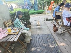 -春风习习