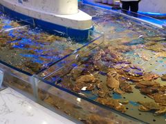 -澜悦港海鲜体验主题餐厅