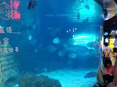 -烟台海昌鲸鲨海洋公园