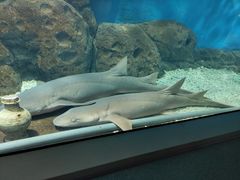 -福州罗源湾海洋世界旅游区