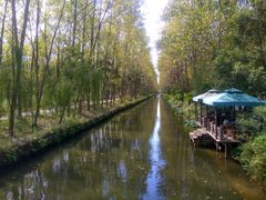 -合肥滨湖国家森林公园